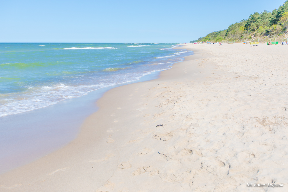 Fot Robert Dajczak9301