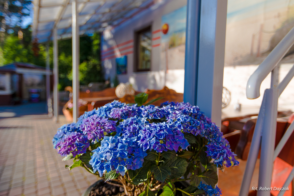 Fot Robert Dajczak9652