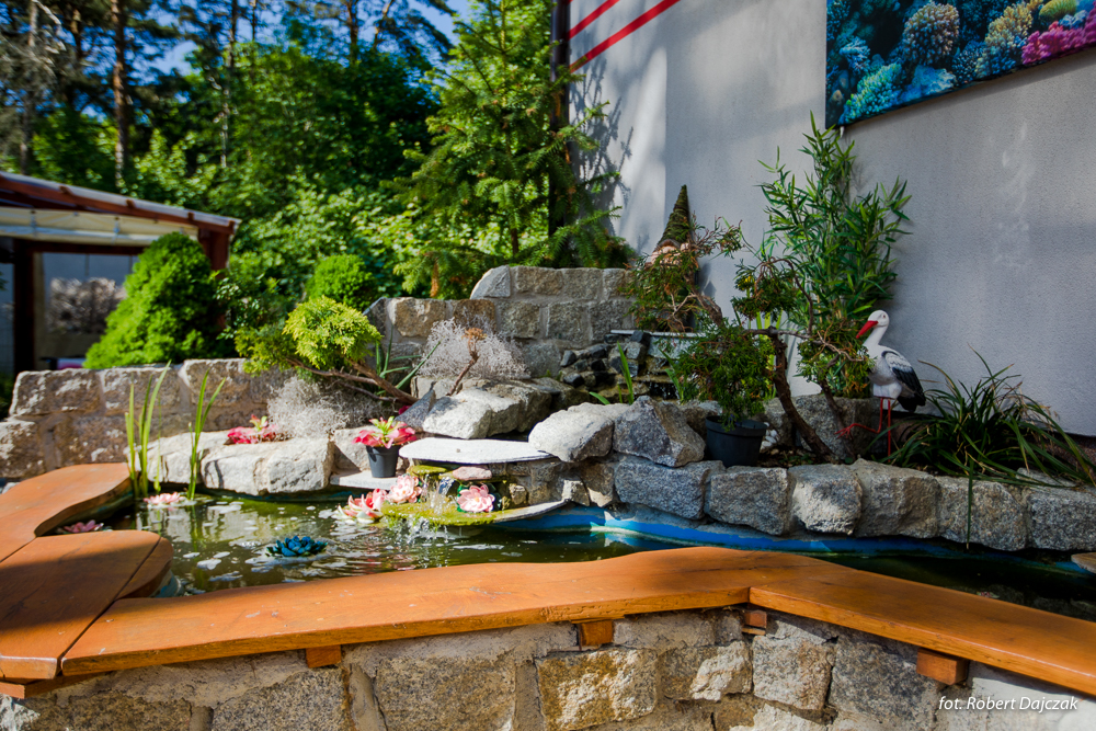 Fot Robert Dajczak9667