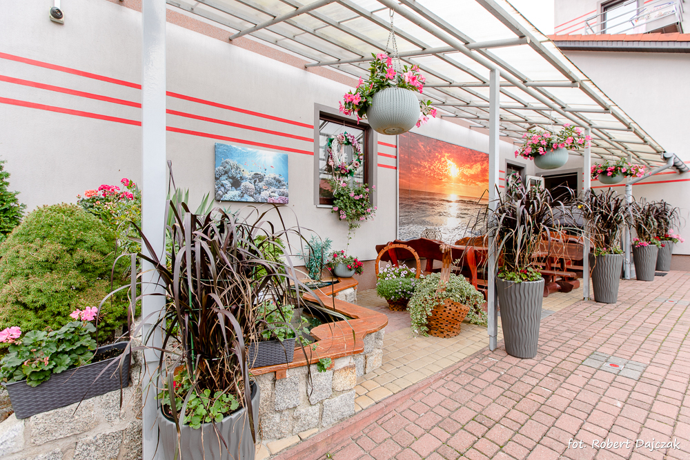 Fot Robert Dajczak 8093